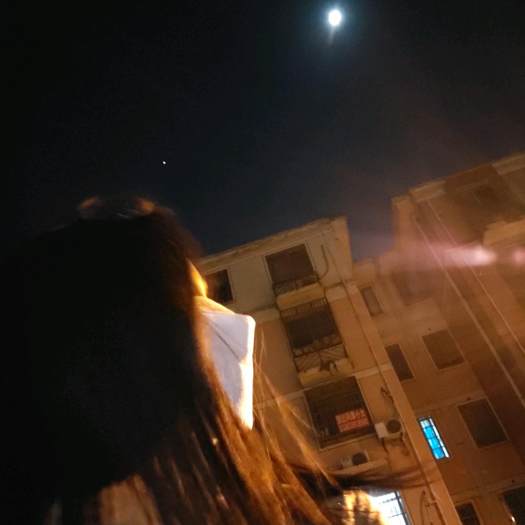 栗子
