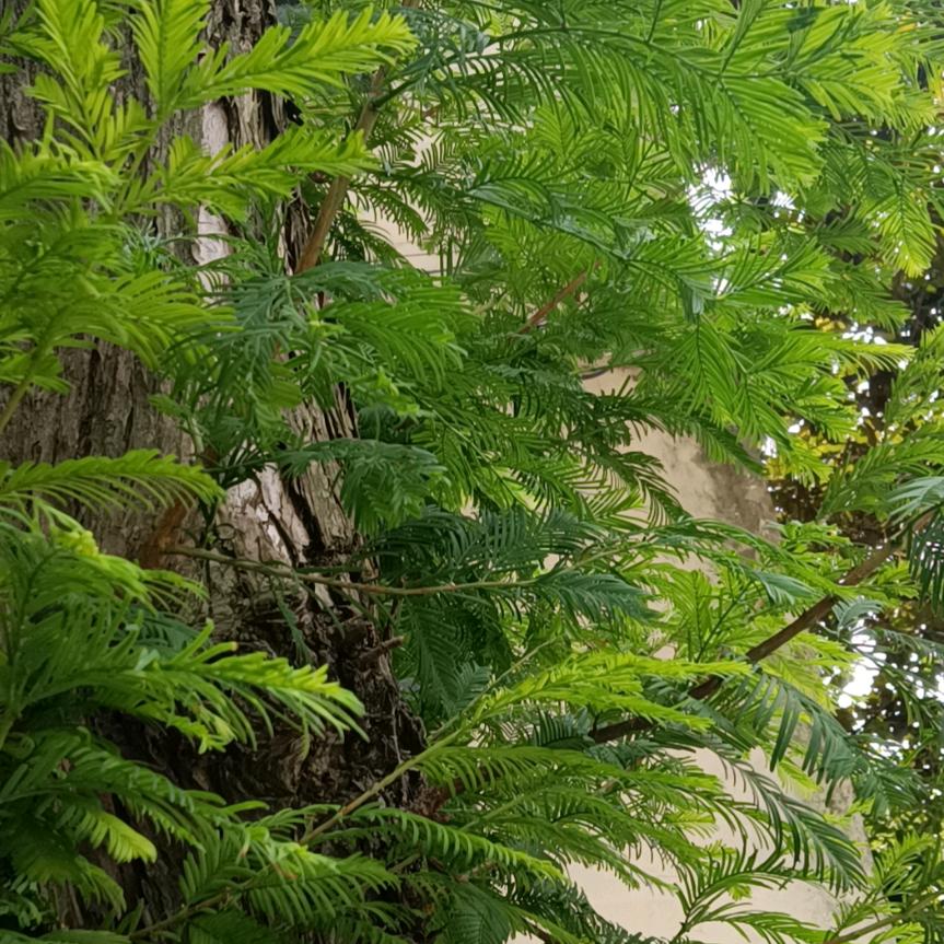 情为谁动