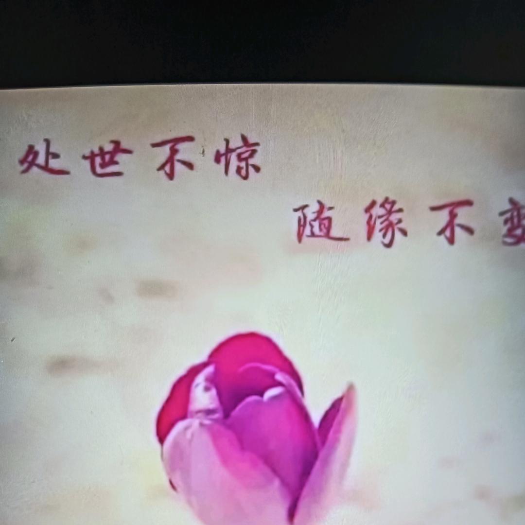 缘份让我们相遇