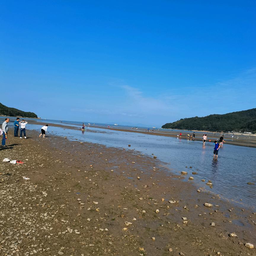 岑少