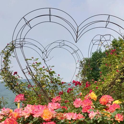 🦋ꦿ໊余生᭄🕊随心᭄ꦿᩚ٭(💃)