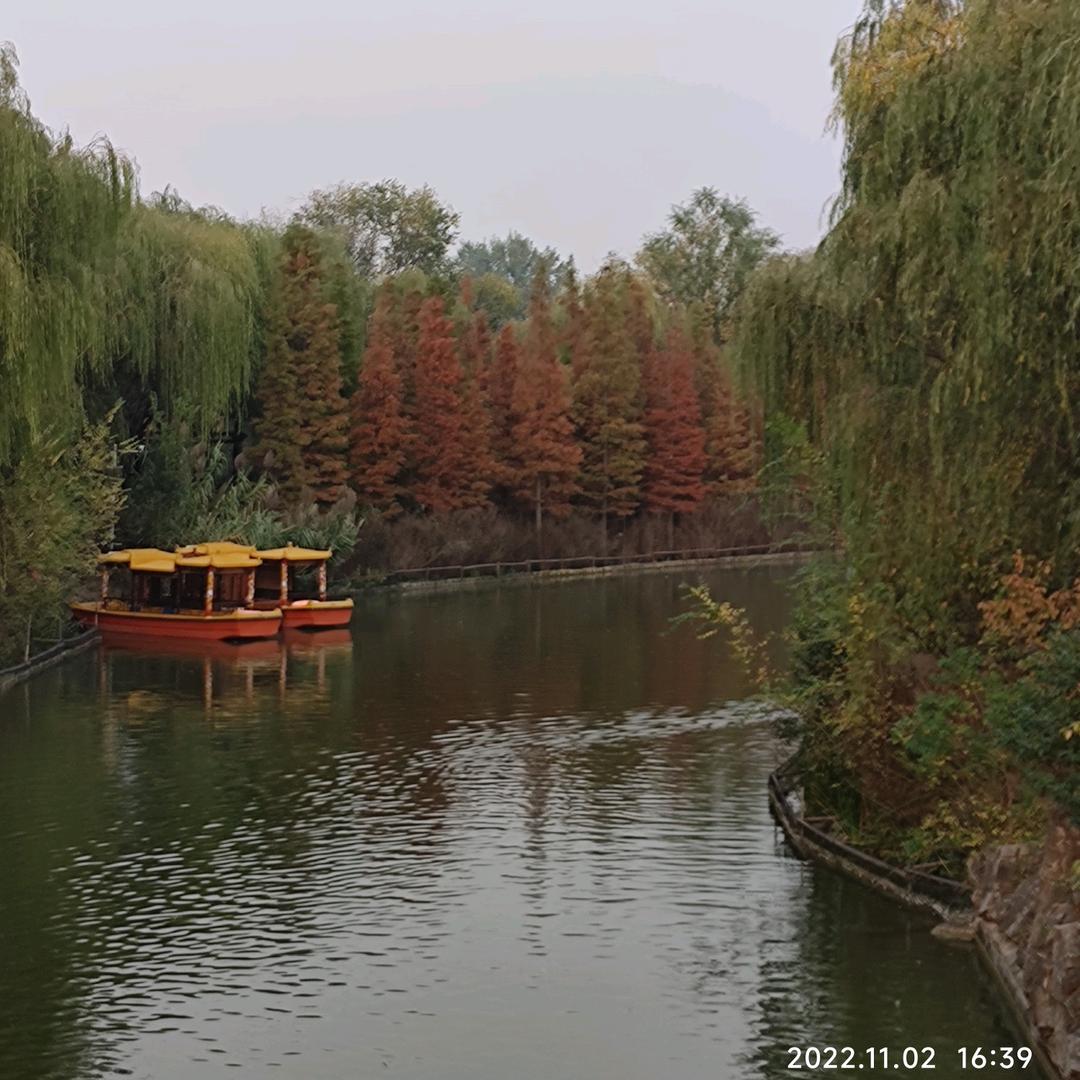 就我能