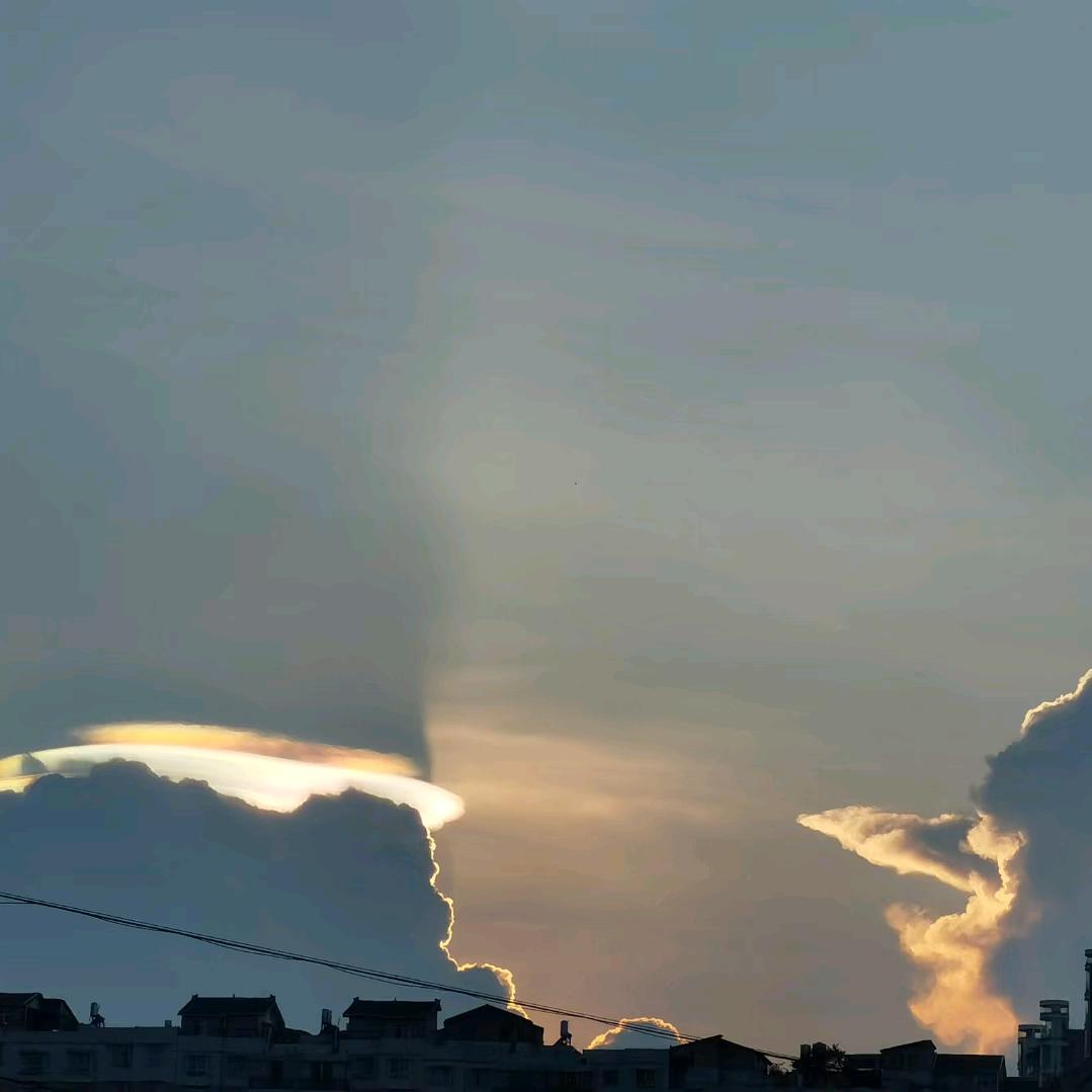 聽竹 識音