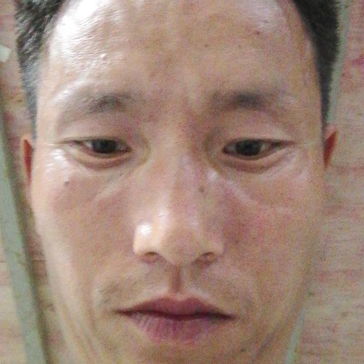 神奇宝贝