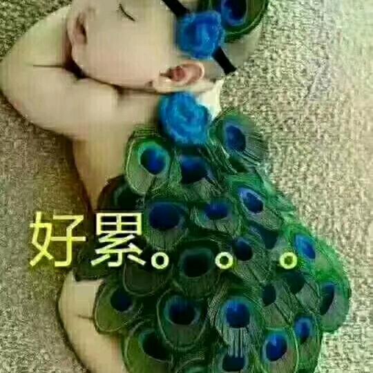 🧚🧚覆流年🧚🧚