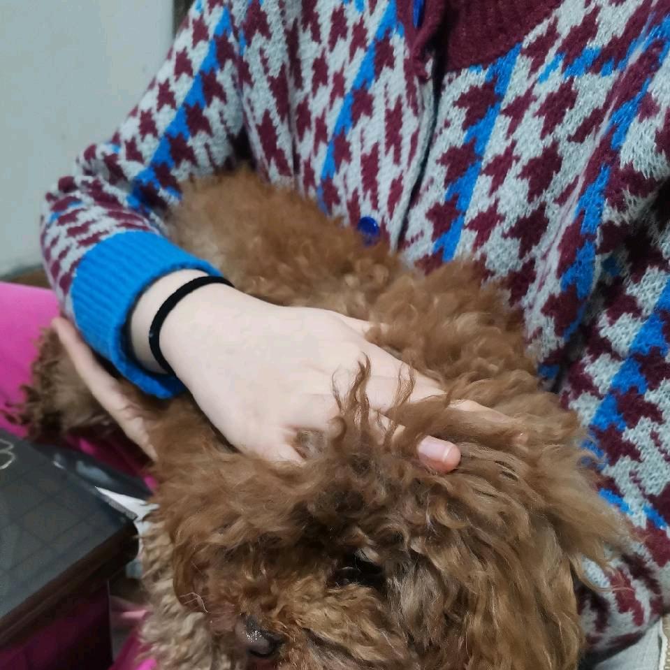 五姐¹¹⁹⁸💞