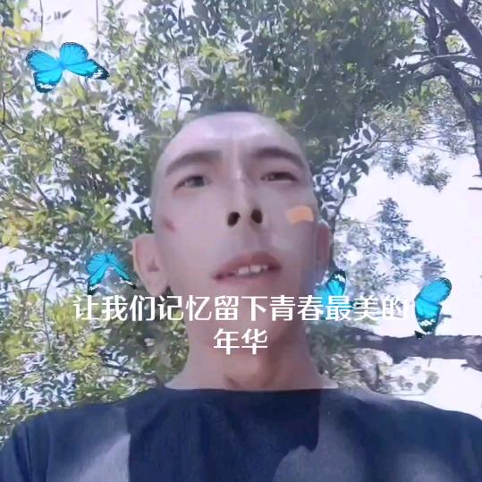 罗总