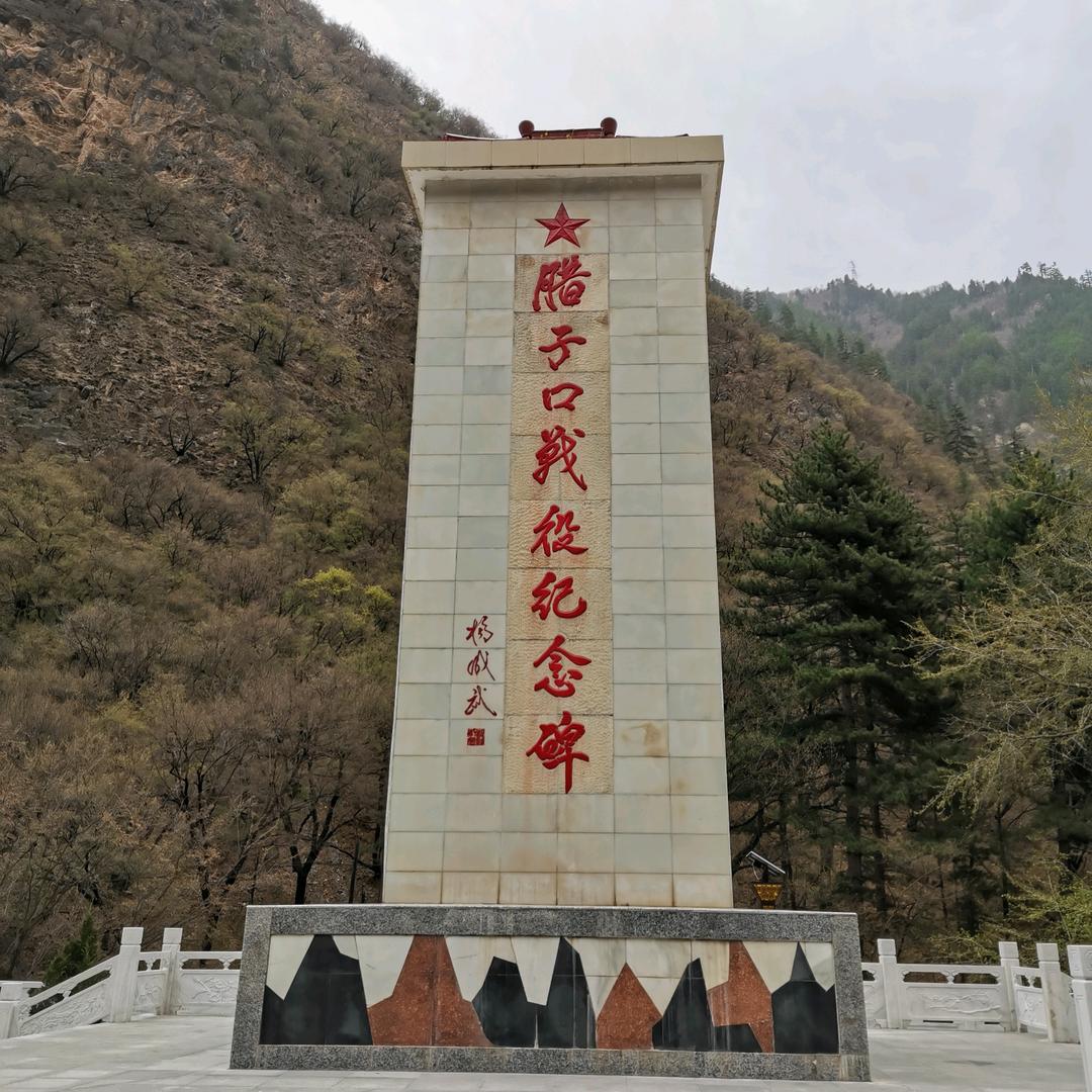 李 刚🔥