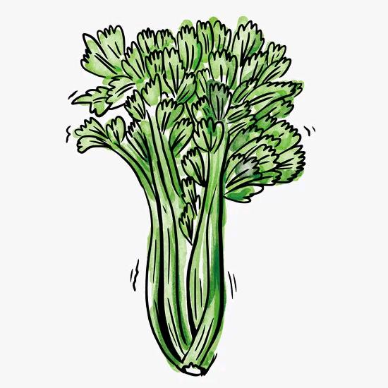 芹杆大撕