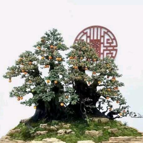 朱四盆景