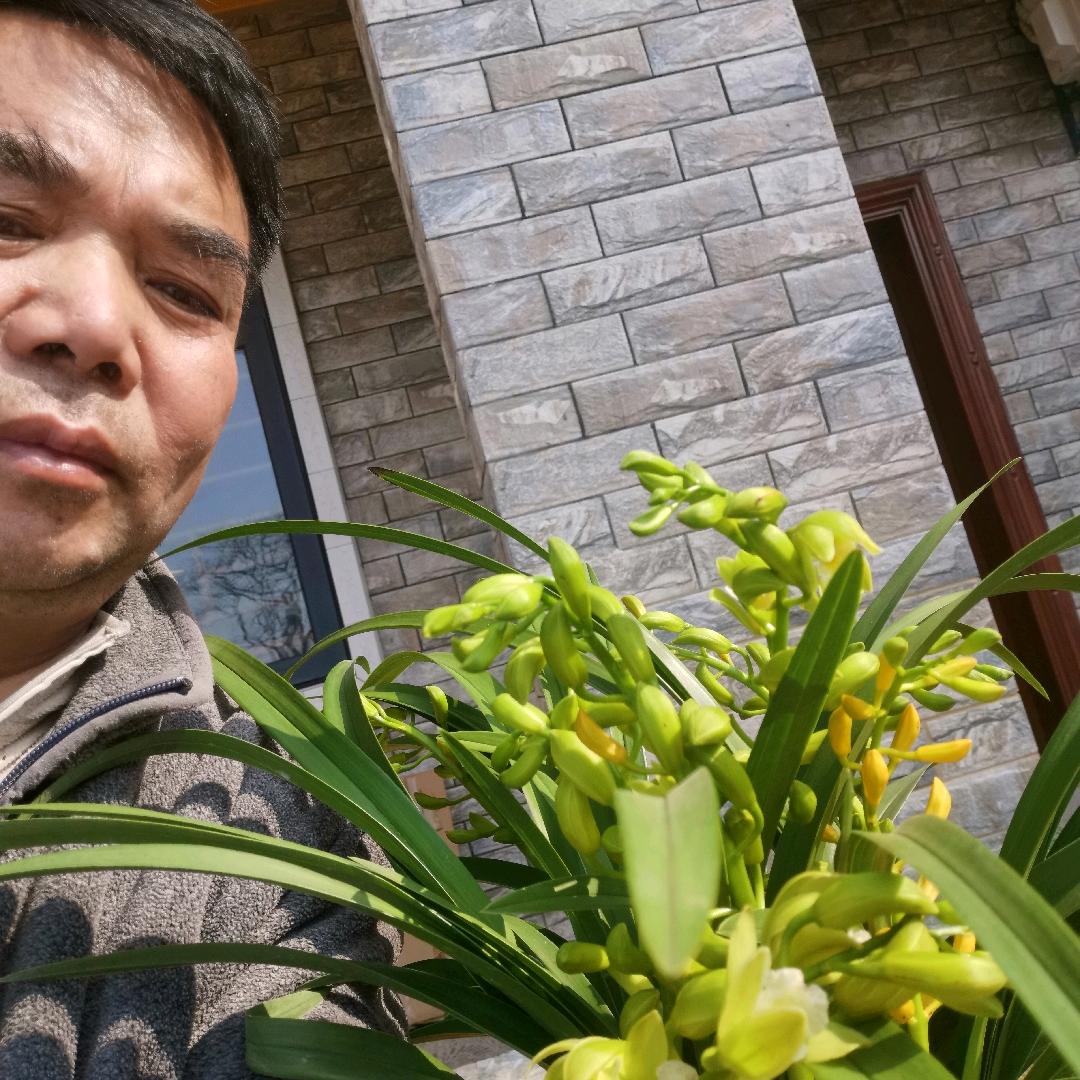 用户2443626141041门窗钢构哥