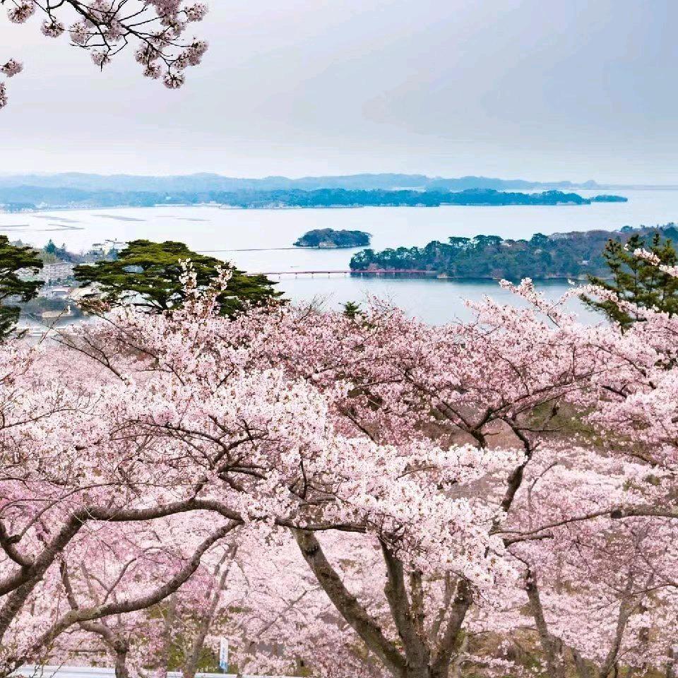 麻江县，杏山街道，靛冲村，烂泥山碗厂