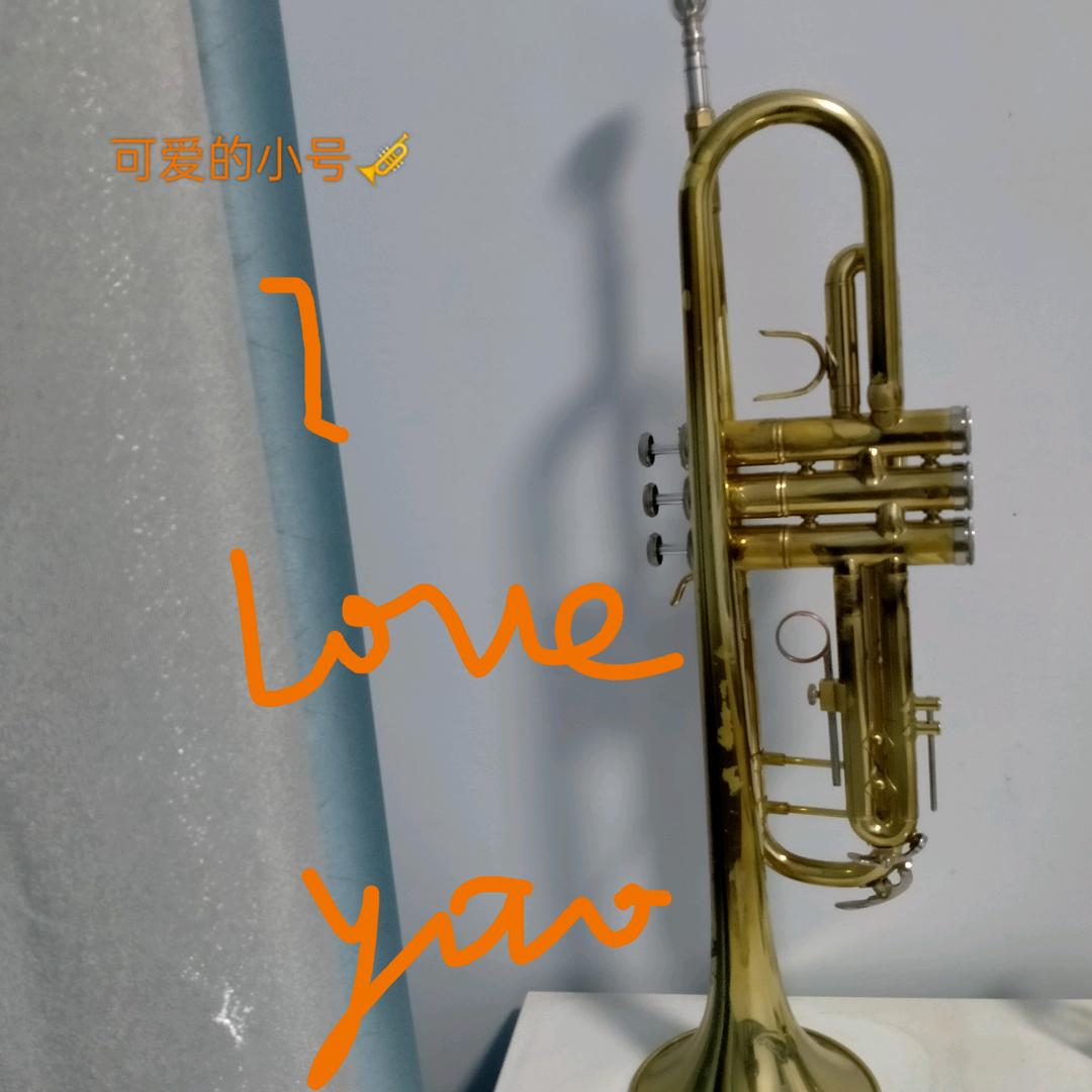 四知堂少《杨》