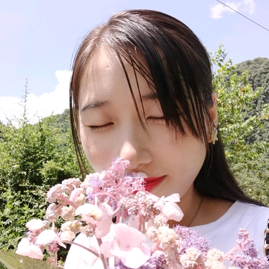 梦姐