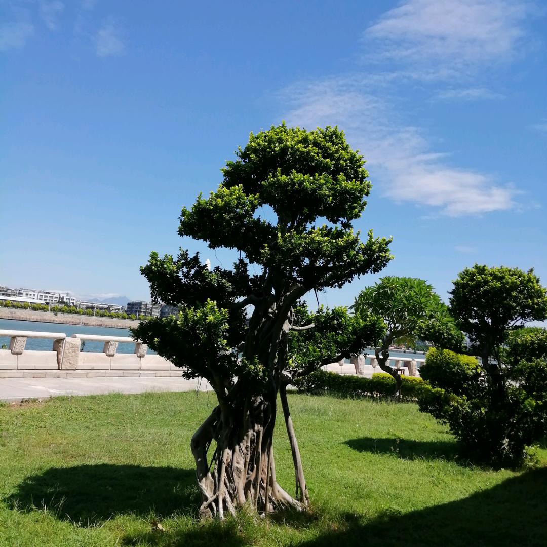 嚄賈