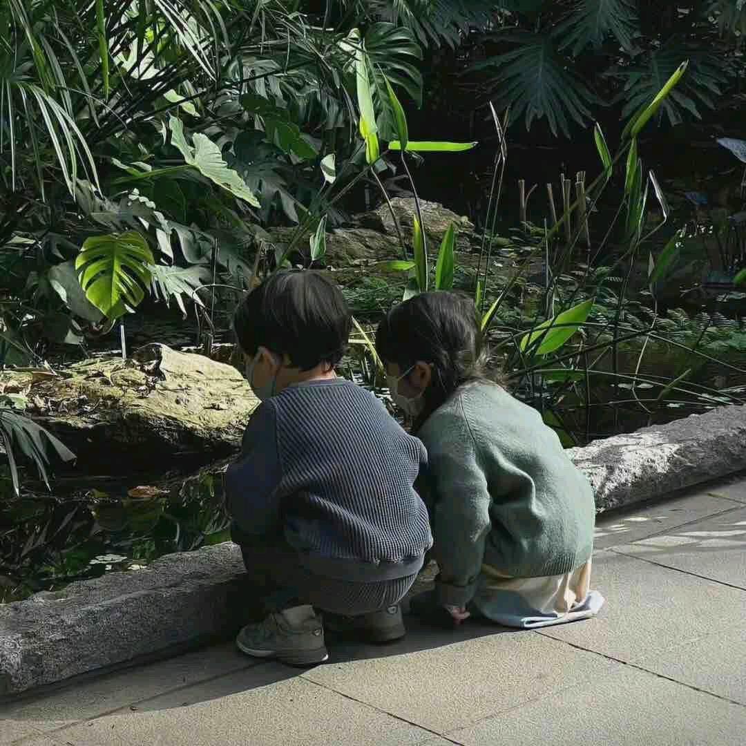 别偷看我的蟹黄堡秘方