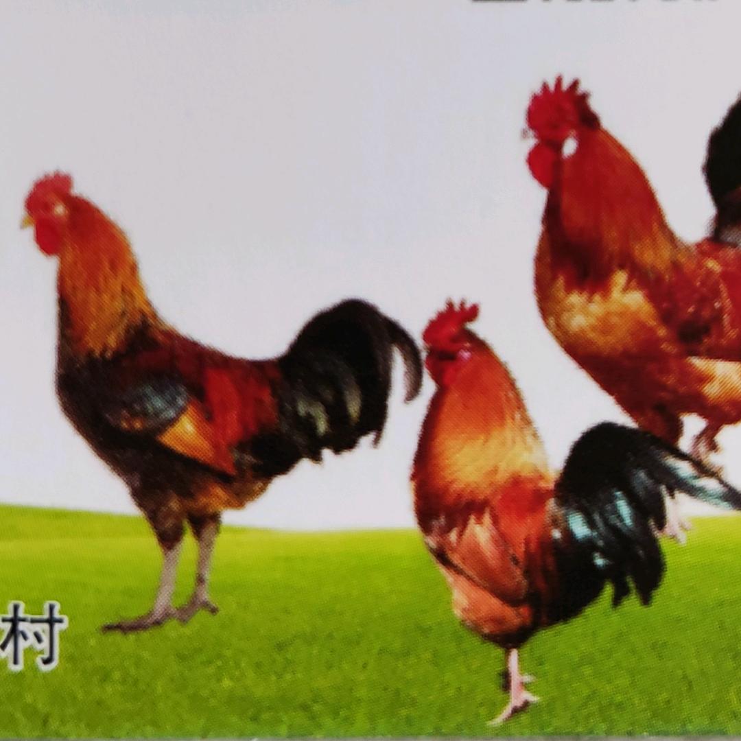 佰禽谷