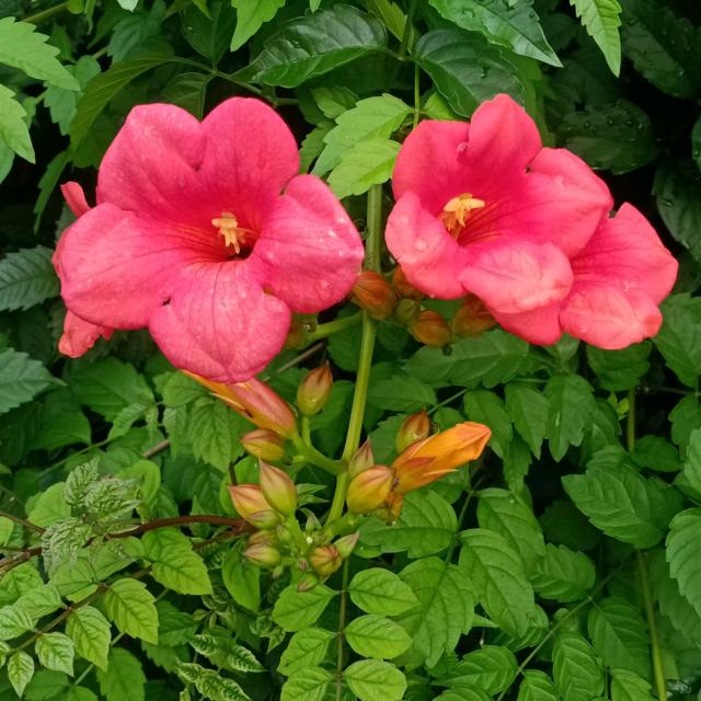 三生缘，一路向前冲