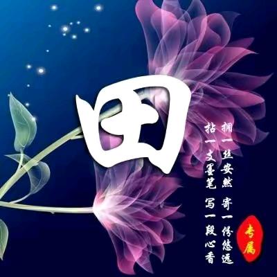豫疆田哥