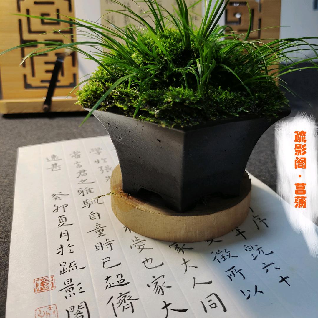 泰弘书法