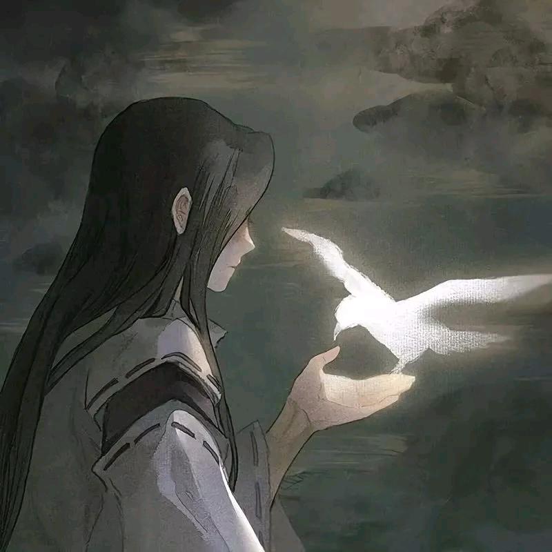 爱听周董的曜