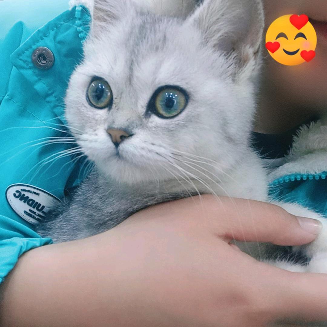 是柚子的柚🍊～