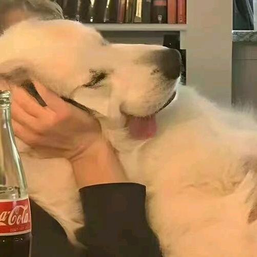 开水想不开