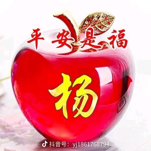 杨贵州，中秋节送祝福，快乐祝福你，富