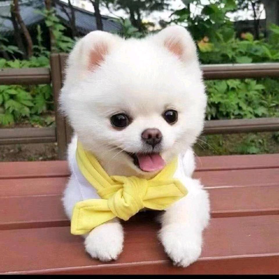 ꧁꫞为你褪去一身骄傲꫞꧂