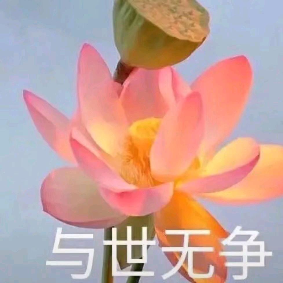 花开富贵✘