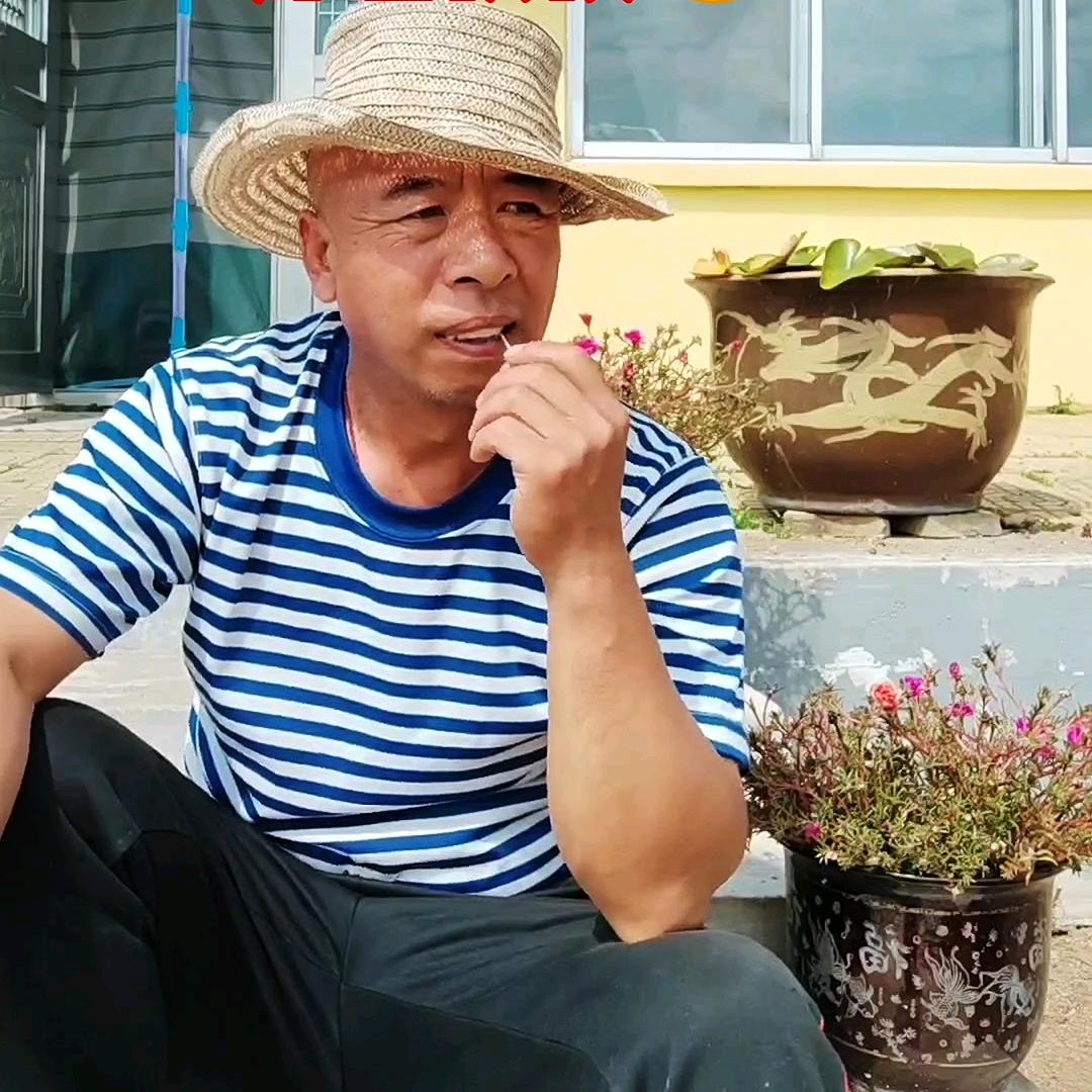 神农小二