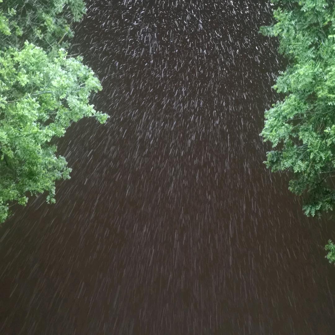 下弦月一秋忆
