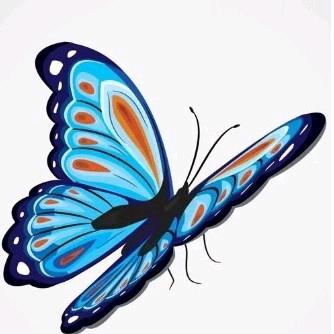 花蝴蝶🦋