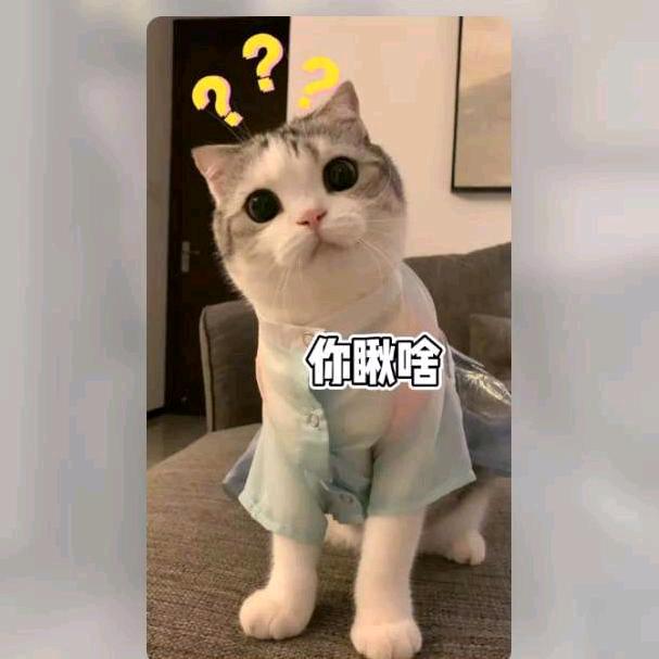 🍒。我