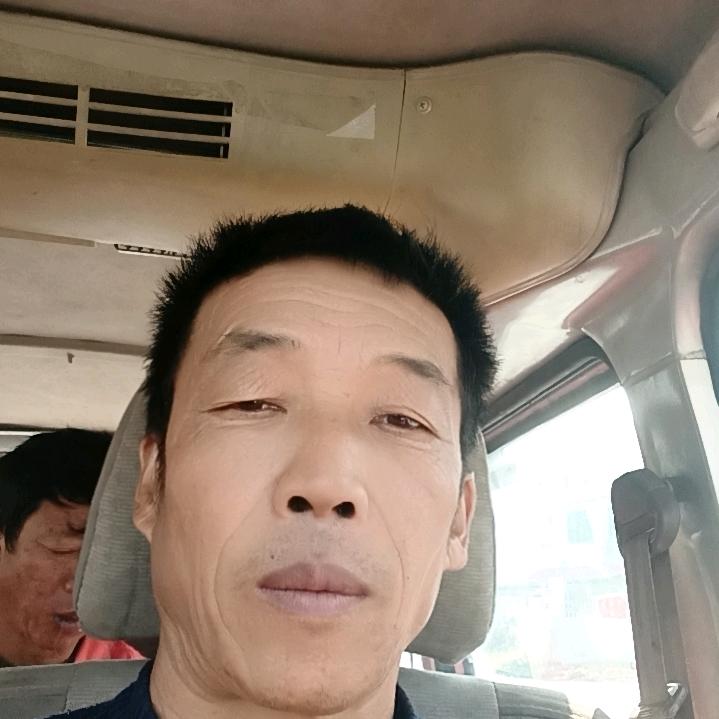 自由飞翔