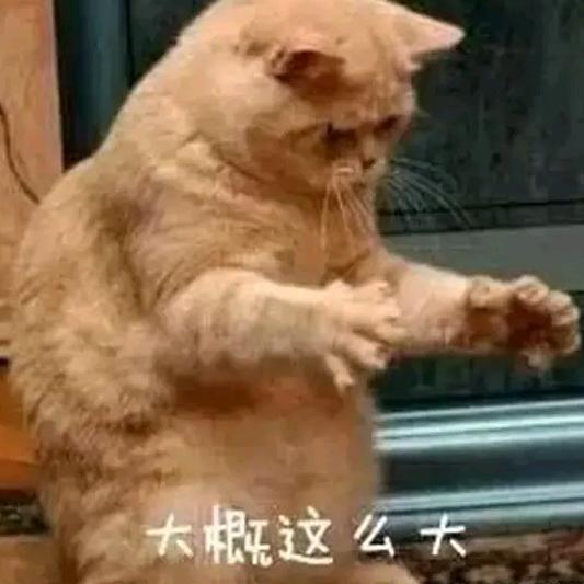 虚竹