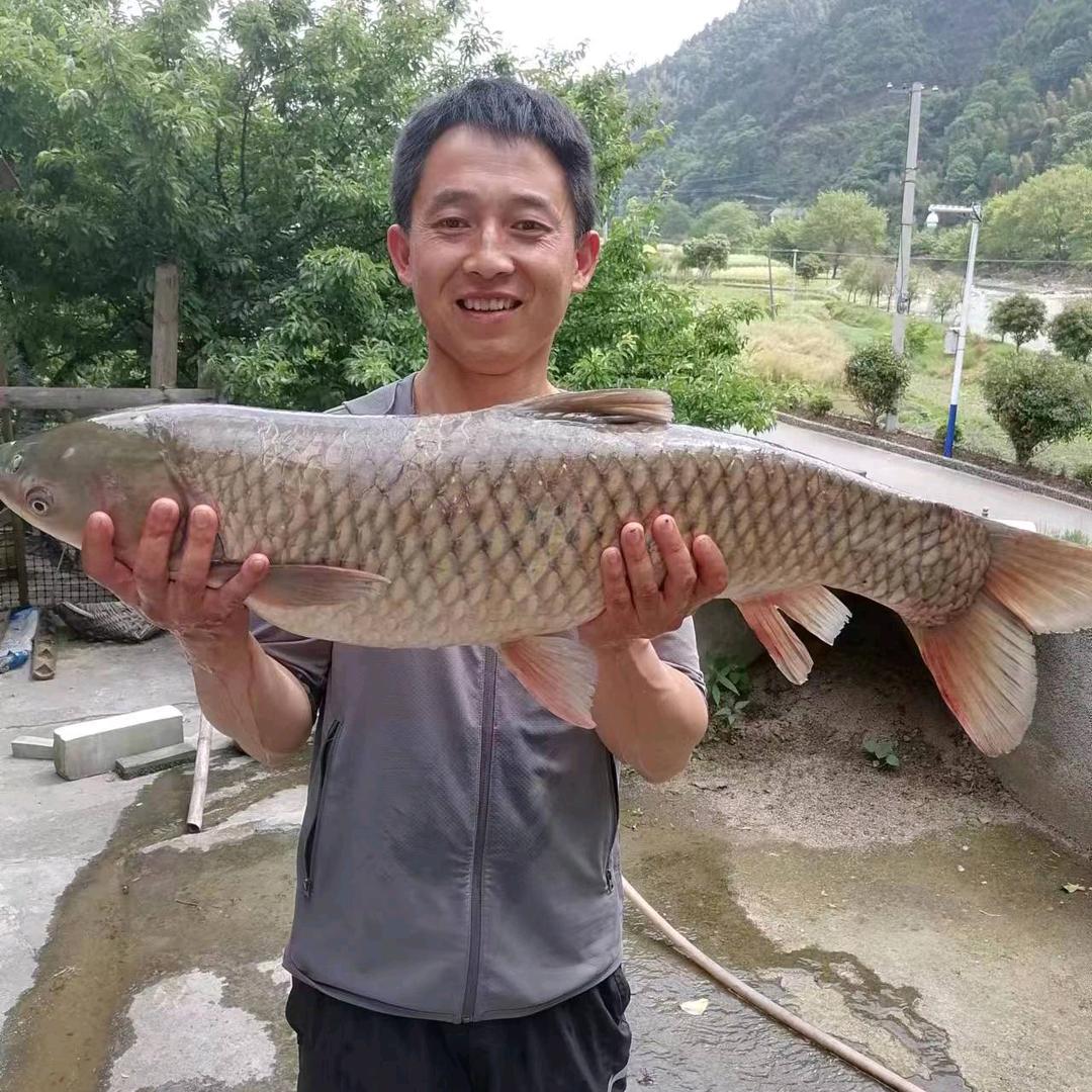 低钓