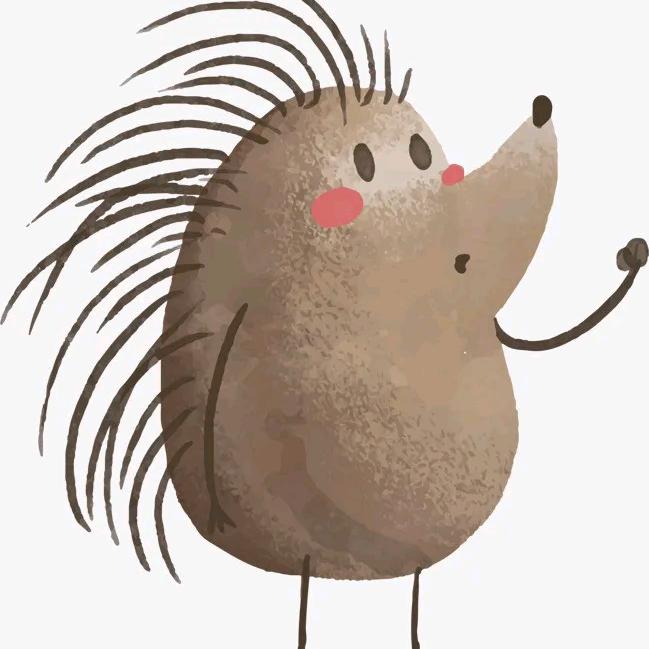 刺猬呀