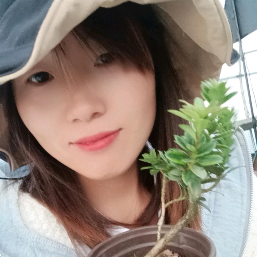 瑾佑盆景园