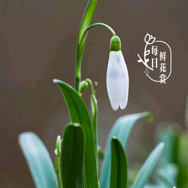 💜紫薇星💜