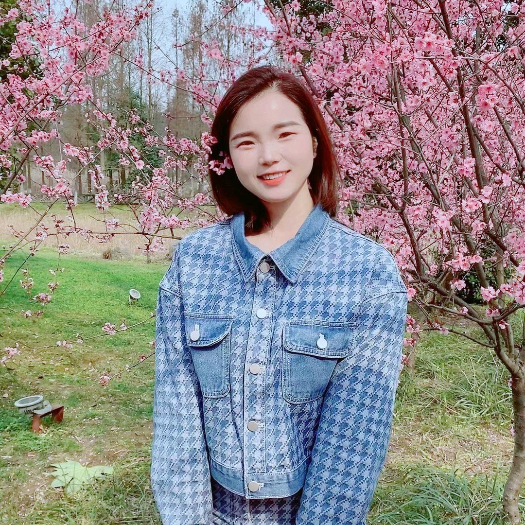 小小凤