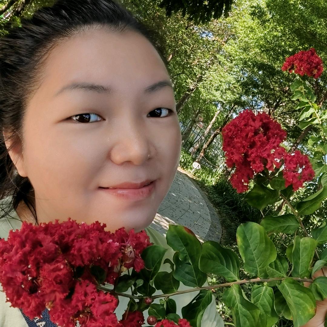 🌹之约