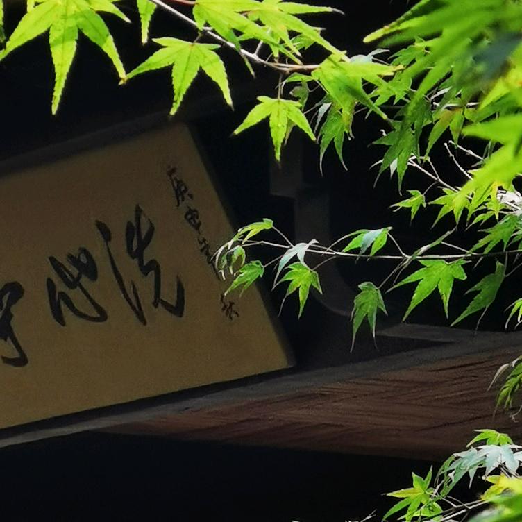 顺风顺水