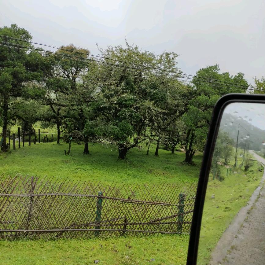 执着依旧