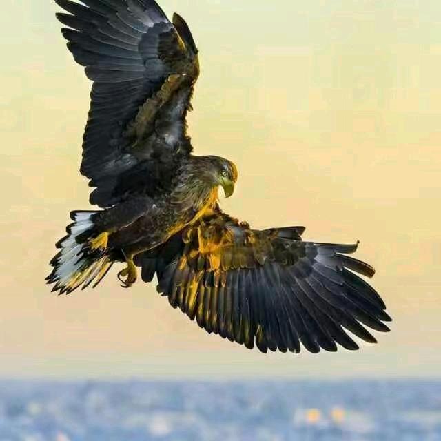 深圳市鸿亿鑫建筑装修有限公司