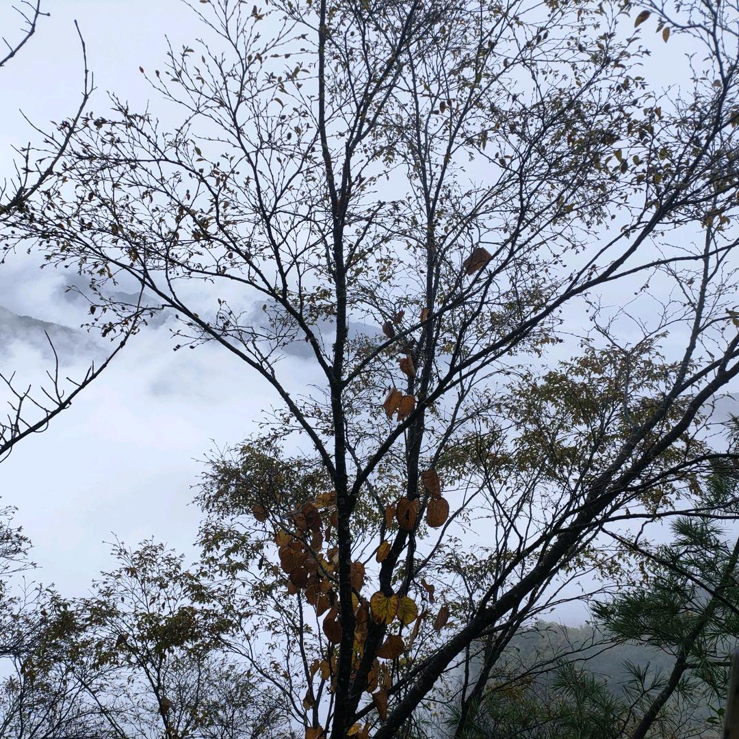 永远是朋友