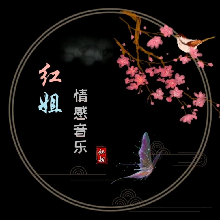 红姐音乐