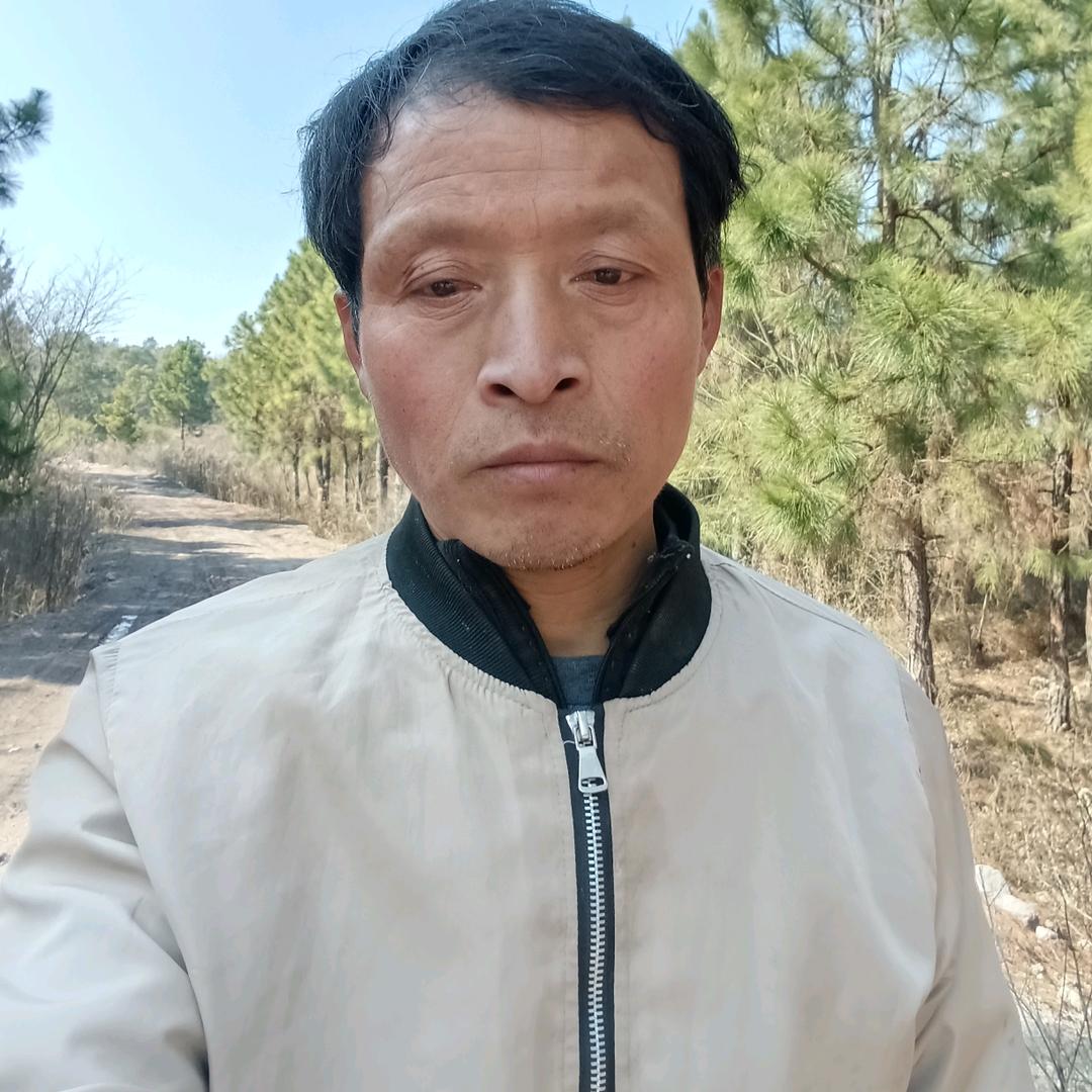②孔雀哥