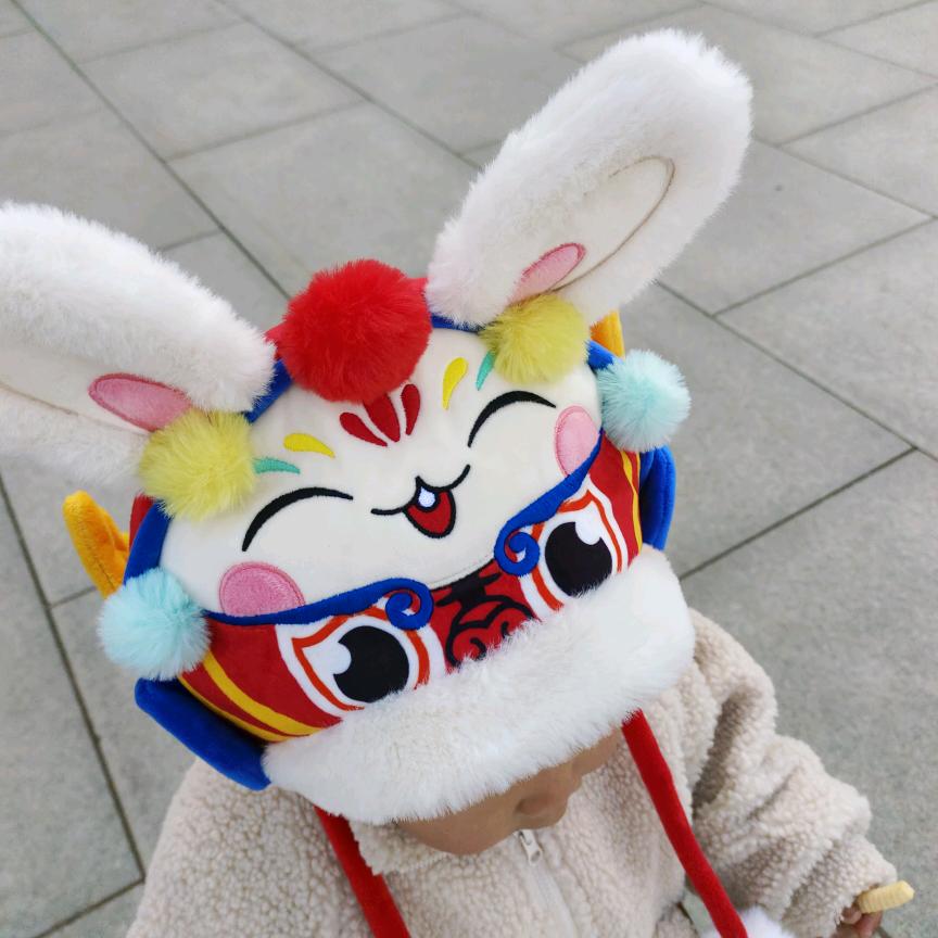 辰辰的小跟班儿