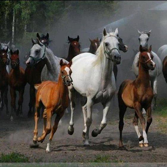 荣发建材  杨荣贵